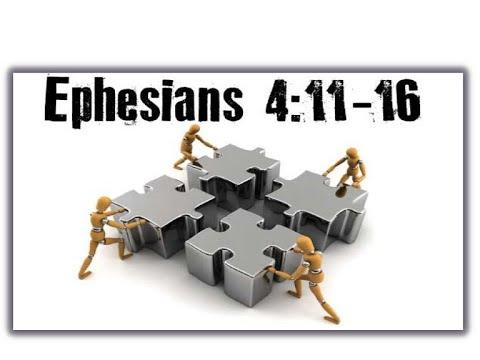 The Unity of the Body - Ephesians 4 :11-16
