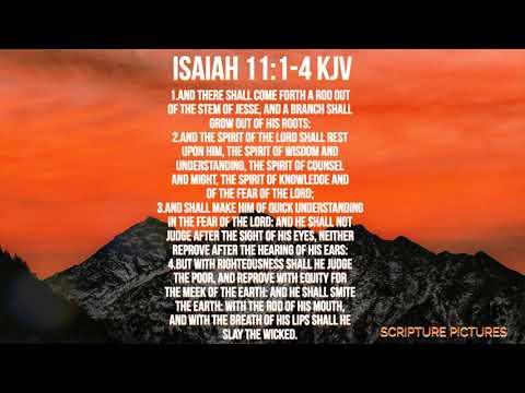 Isaiah 11:1-4 |  5 Mɪɴᴜᴛᴇs Mᴇᴅɪᴛᴀᴛɪᴏɴ Iɴ Gᴏᴅ's Wᴏʀᴅ|Sᴄʀɪᴘᴛᴜʀᴇ Pɪᴄᴛᴜʀᴇs