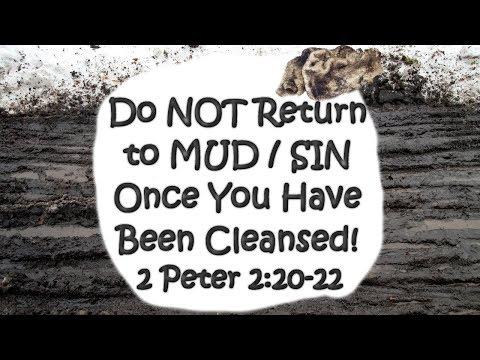 Do Not Return to Mud / Sin Once God Has Cleansed You! (2 Peter 2:20-22) 8.2