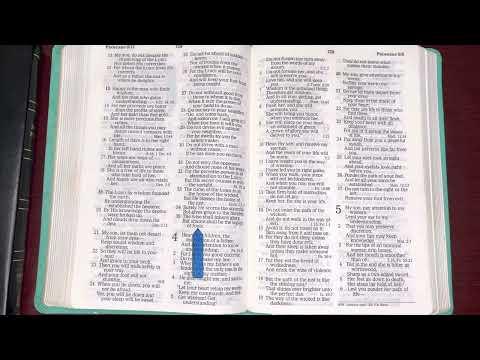 11/3/22, Psalm 104, Proverbs 3, Hebrews 2:1-18, Ezekiel 19::1-20:49 Old & New Testament Readings