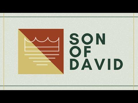 The Son of David | 2 Samuel 7:12-16