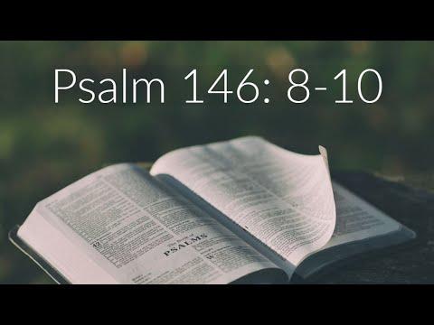 Meditation on Psalm 146: 8-10