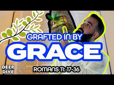 Deep Dive Bible Study | Romans 11: 17-36 Explained/Meaning – Grafted in by Grace
