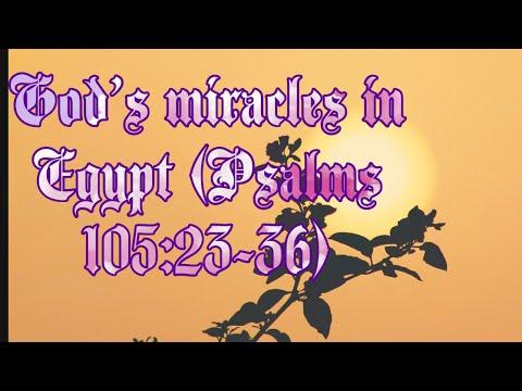 Do you know the God’s miracles in Egypt? (Psalms 105:23-36)