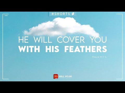 Psalm 91:1-4 - Bible Offline