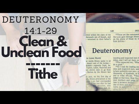 DEUTERONOMY 14:1-29 CLEAN & UNCLEAN FOOD | TITHE (S16 E14)