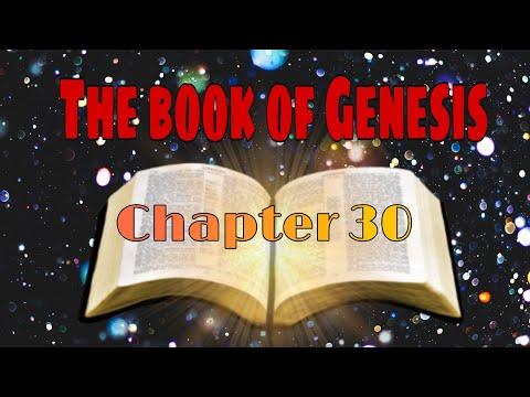 Genesis 30:1-43 #Thebible