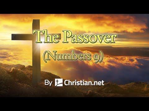 Numbers 9:1 - 14: The Passover | Bible Stories