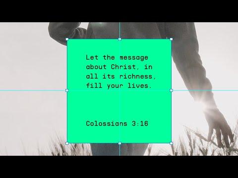 Verse of the day | Colossians 3:16 | five minute devo