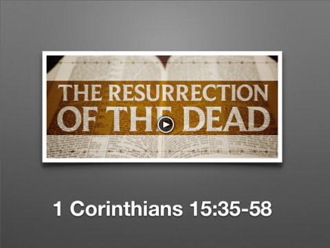 The Resurrection Body (1 Cor 15:35-58)