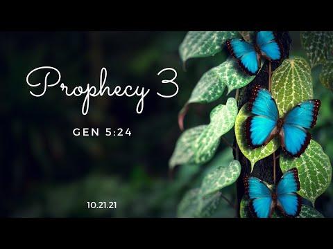 Prophecy 3 (Genesis 5:24)