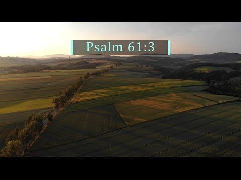 God's Word Daily - 18 July 2022 | Psalm 61:3