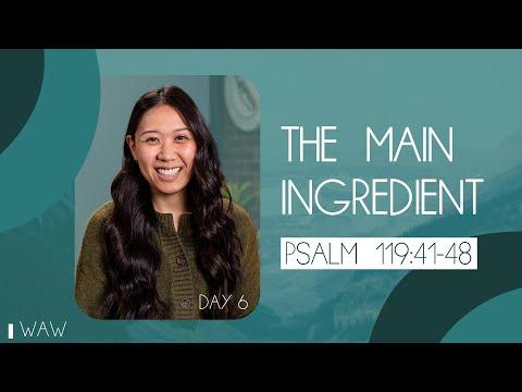 Psalm 119:41-48 | The Main Ingredient | Pastor Grace Johnson