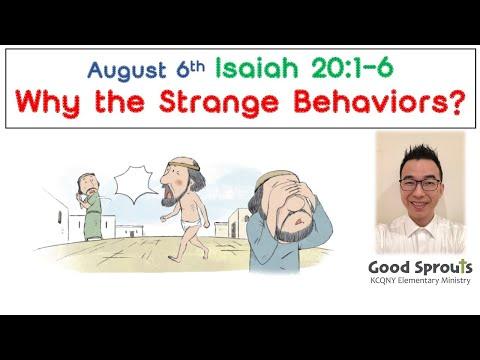 20200806 Isaiah 20:1-6 | Daily Bible for Kids with pastor Isaac KCQ Good Sprouts 퀸즈한인교회 초등부 이현구 목사