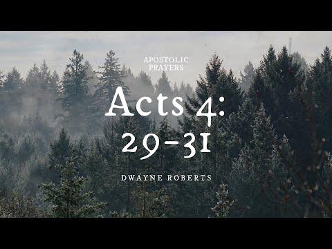Acts 4:29-31 | Apostolic Prayers (Harp and Bowl Sessions) | Dwayne Roberts