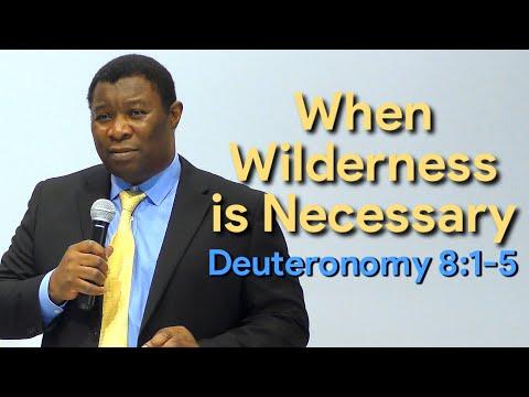 When Wilderness is Necessary Deuteronomy 8:1-5 | Pastor Leopole Tandjong