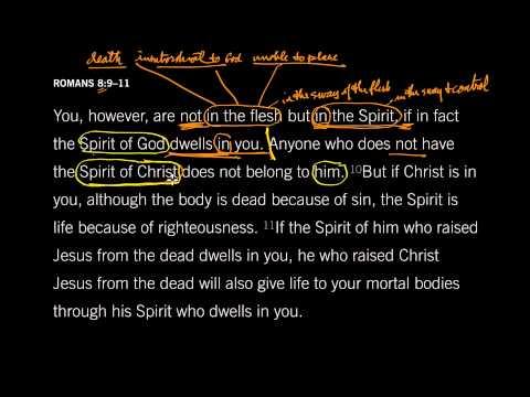 The Spirit Lives in You: Romans 8:9