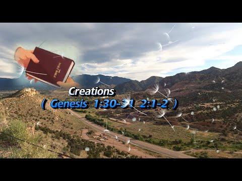 Creations ( Genesis 1:30- 2:1-2 )