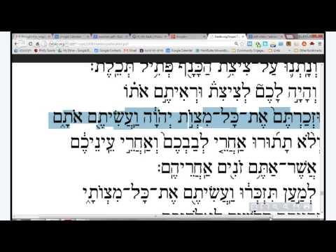 Reading Hebrew in the Siddur: Learning the 3rd Paragraph of the Shema -- Vayomer (Numbers 15:37-41)