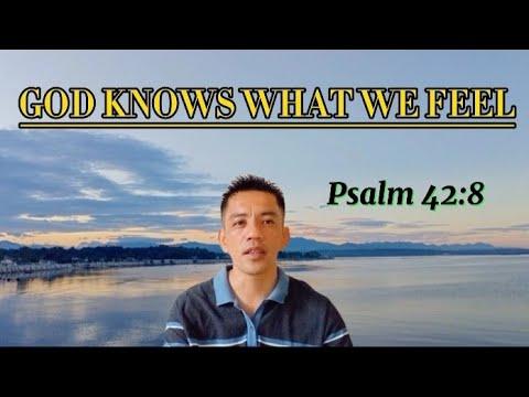 Does God knows what I feel? Psalm 42:8