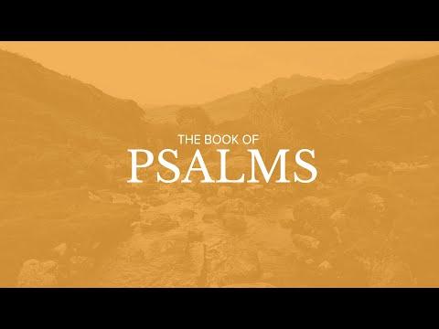Sunday Song: Using Wisdom for Worship, Part II (Psalm 78:17-31) - October 2, 2022