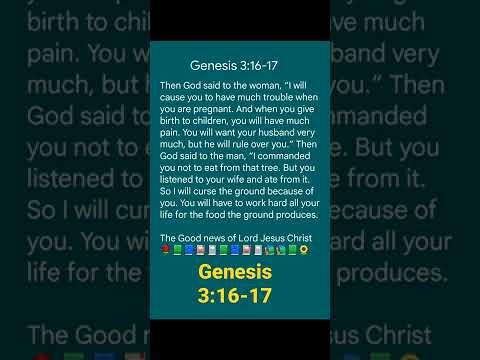 Genesis 3:16-17 || I commanded you not to eat from that tree || 17.07.2022