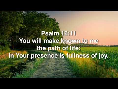 Psalm 16:11 (Promise)
