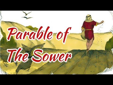 ???? ⛪️  The Parable of the Sower | Matthew 13:1-23  ⛪️ ????