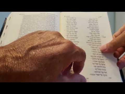Daily Bible Reading - Deuteronomy 31:14 - 32:44