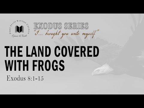 The Land Covered With Frogs: Exodus 8:1-15