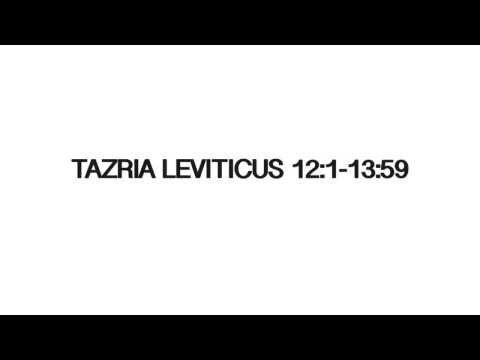 LEGO stop motion Tazria Leviticus 12:1-13:59