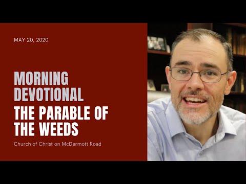 Morning Devotional - The Parable of the Weeds (Matthew 13:24-30)
