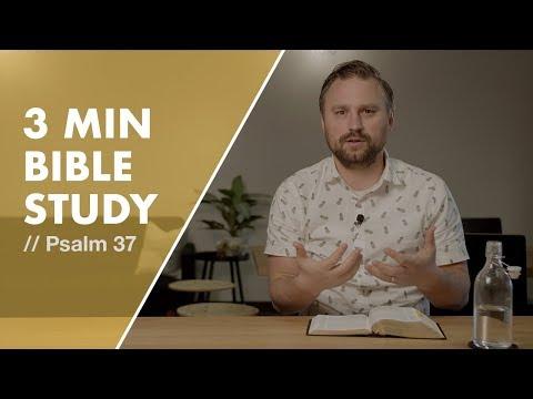 Psalm 37 // 3 Minute Bible Study