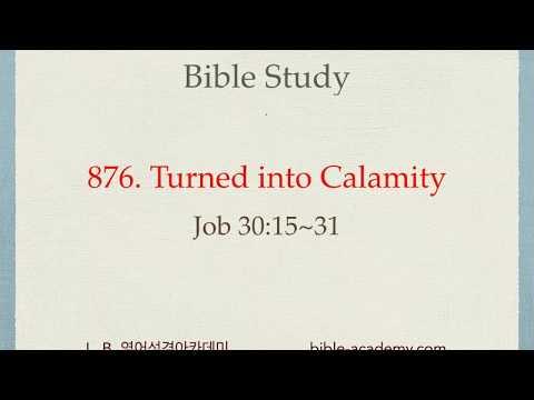 876. Turned into Calamity - Job 30:15~31