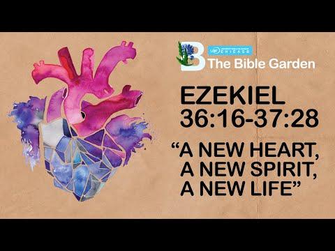 New Heart, New Spirit, New Life! / Ezekiel 36:16-37:28 / Chicago UBF