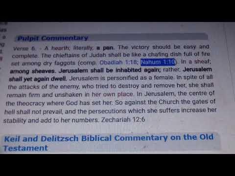 Zechariah 12:6 Commentary