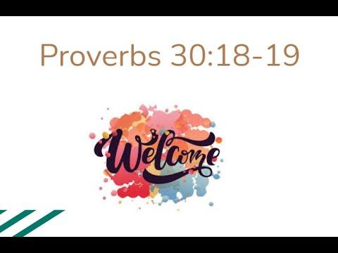 Proverbs 30: 18-19