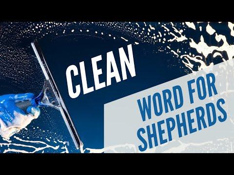 Word for Shepherds | CLEAN:E2 | Bible Study, Ezekiel 34:4 | Paul Durbin