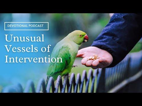 Your Daily Devotional | Unusual Vessels of Intervention | Revelation 12:15-16