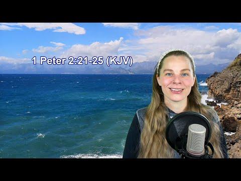 1 Peter 2:21-25 KJV - The Mouth, Healing - Scripture Songs