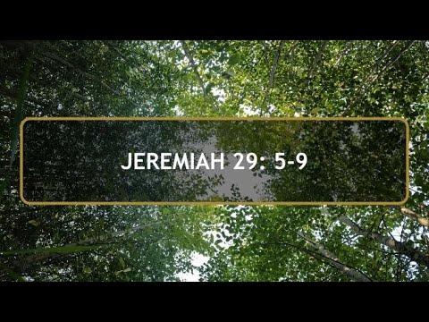 Daily Prayer and Bible Study Jeremiah 29:5-9