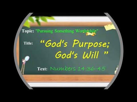 "God's Purpose; God's Will" | Numbers 14:36-45
