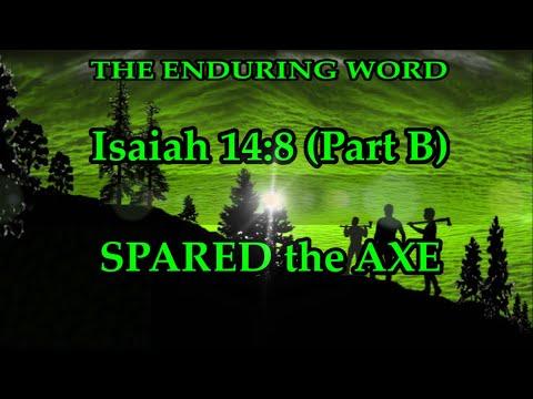 SPARED THE AXE (Isaiah 14:8 - Part B)