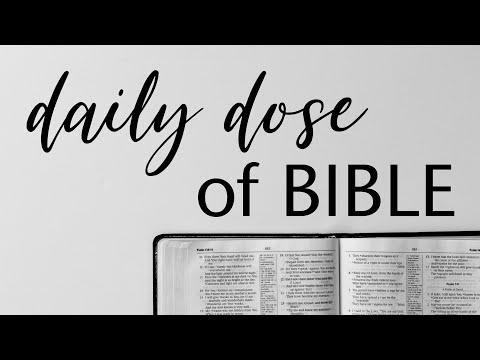 Daily Dose of Bible Matthew 8:14-34 (Church of the Open Door)