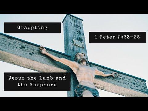 Grappling | Jesus the Lamb and the Shepherd (1 Peter 2:23-25)