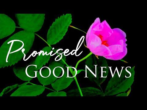 Daily Scripture - Romans 1:2-4 - Promised Good News of Our Lord Jesus Christ