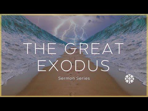 July 31st  | "The Finger of God" Exodus 7:14-8:19