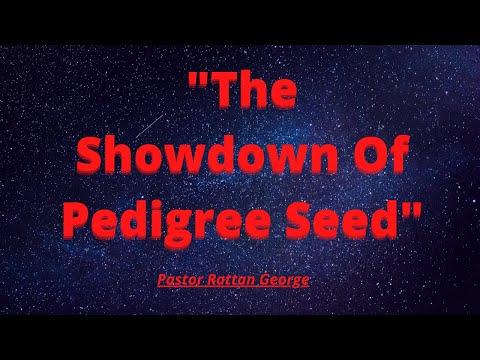 20-1227 - Bro George | "The Showdown Of Pedigree Seed" - I Samuel 14:48-52