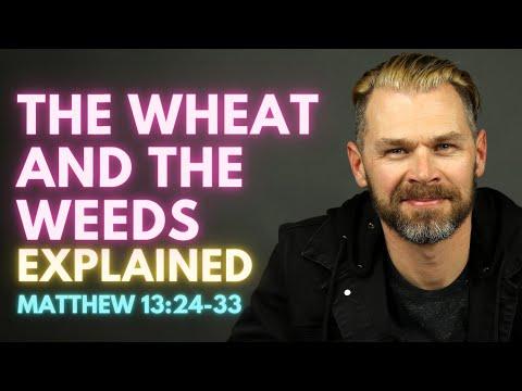 The WHEAT and the WEEDS parable explained | MATTHEW 13:24-33