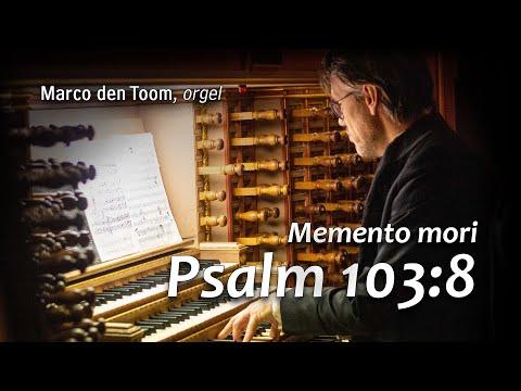 Psalm 103:8 (Memento mori) - Marco den Toom, Laurenskerk Rotterdam
